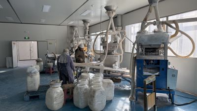 聚焦兽药片剂生产：领导现场考察，精准指导发展